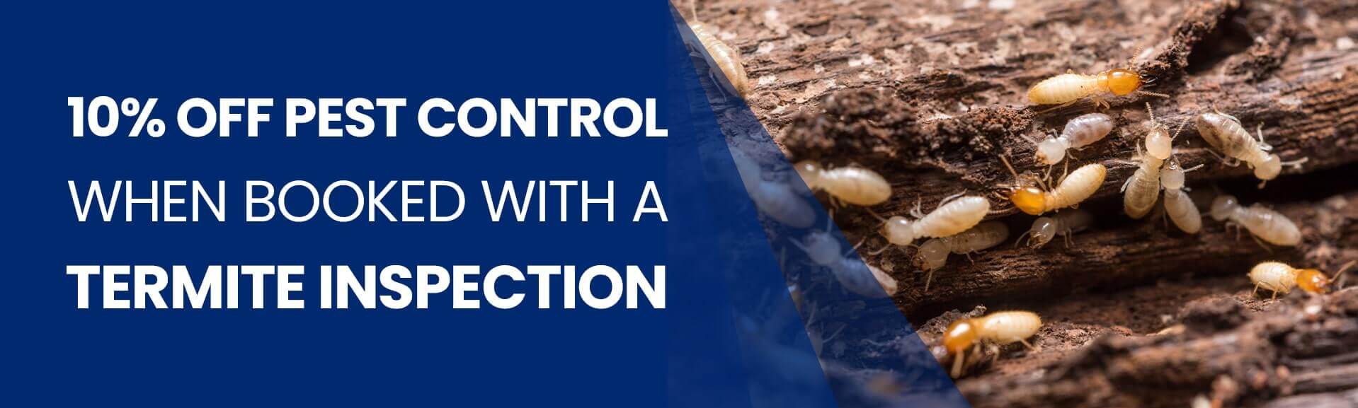 Pest Control Australia